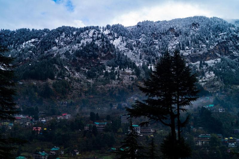 Alt Life Manali image