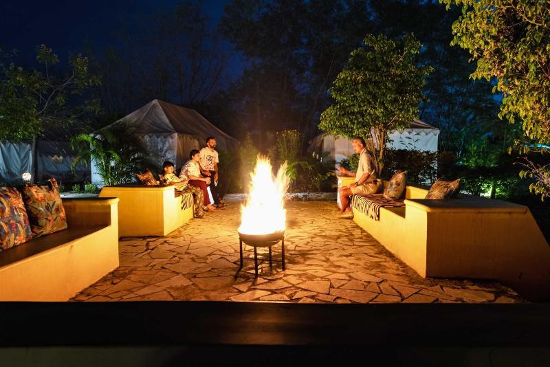 Tadoba Jungle Camp — general view