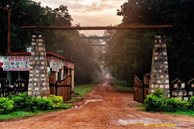 Tadoba Jungle Camp — general view