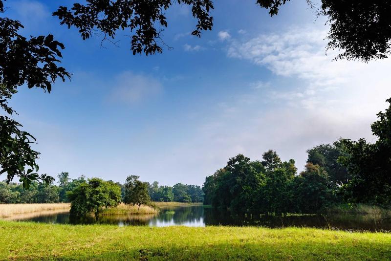 Tadoba Jungle Camp — general view