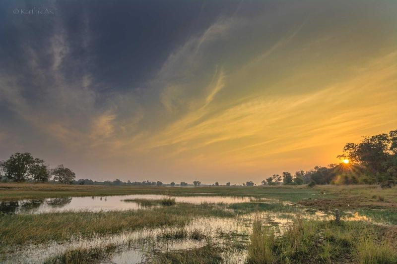 Tadoba Jungle Camp