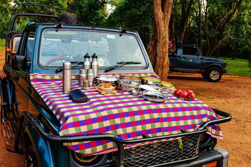 Tadoba Jungle Camp