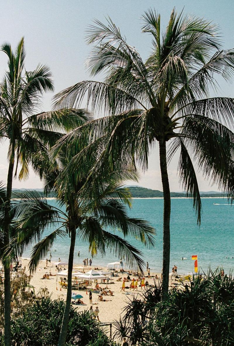 71 Hastings Street - Beachfront image