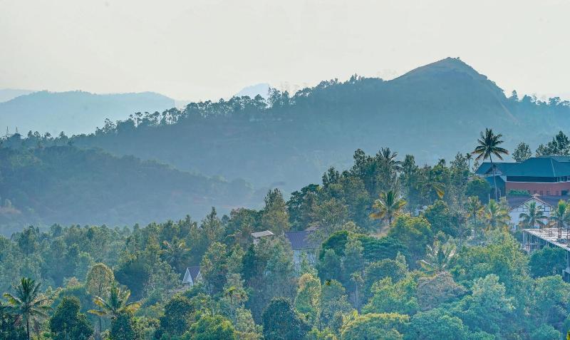 Treebo Wanderlust Residency With Mountain View — general view