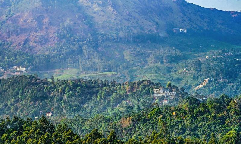 Treebo Wanderlust Residency With Mountain View — general view