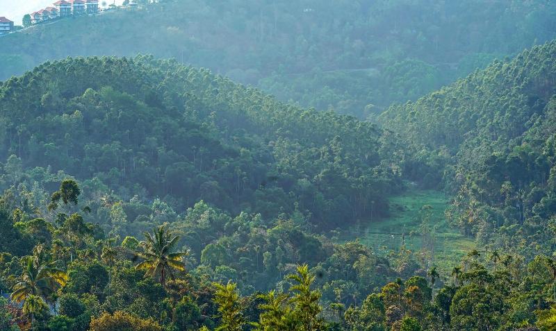 Treebo Wanderlust Residency With Mountain View image