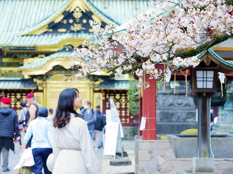 &here Tokyo Ueno image