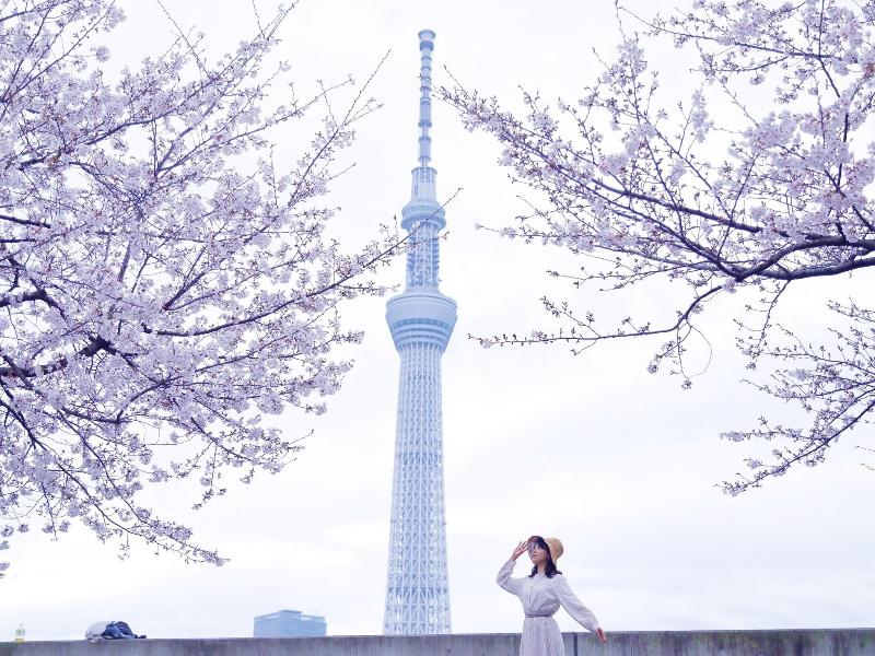&here Tokyo Ueno image