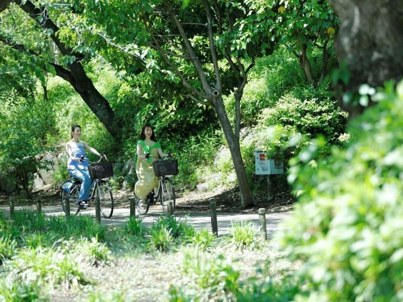 &here Tokyo Ueno image