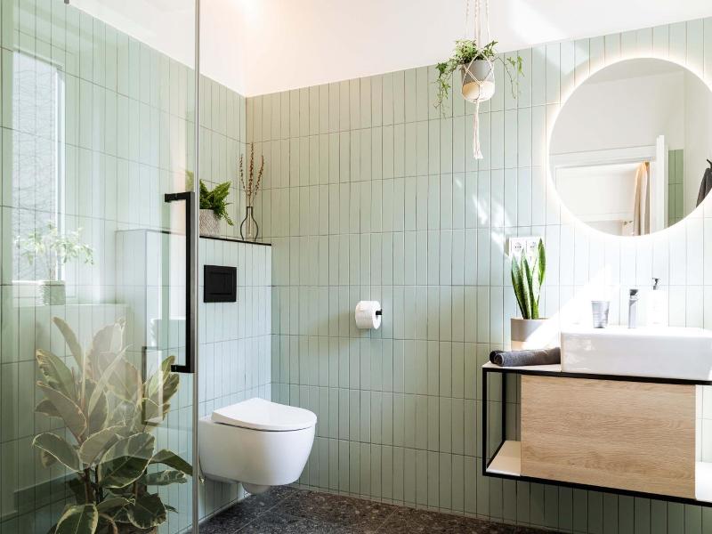 Urban Jungle Apartments image