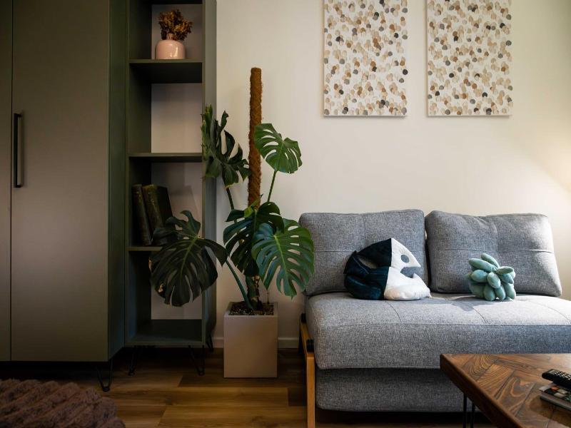 Urban Jungle Apartments image