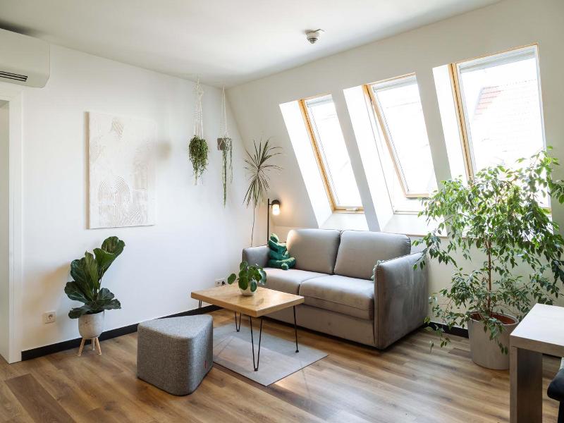 Urban Jungle Apartments image