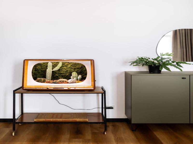 Urban Jungle Apartments image