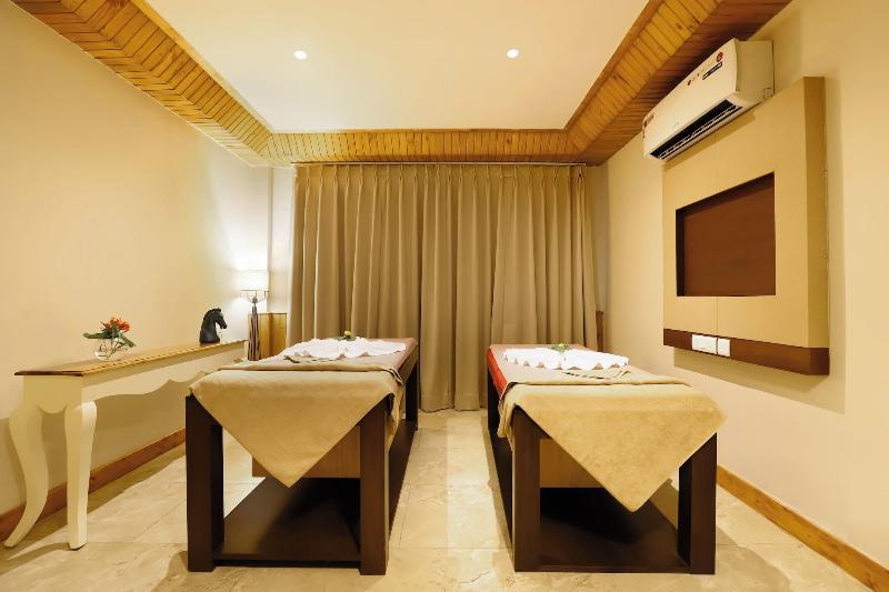Regenta Resort & Spa Mashobra image