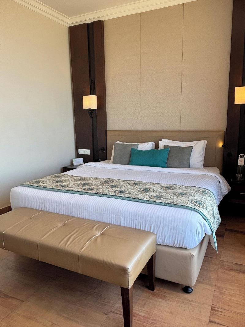 Regenta Resort & Spa Mashobra image
