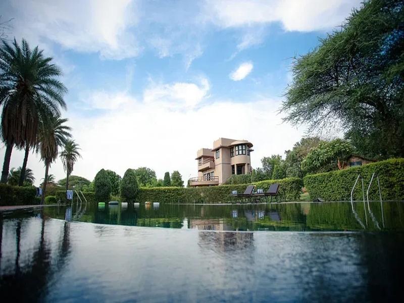 Clarks Safari Pushkar