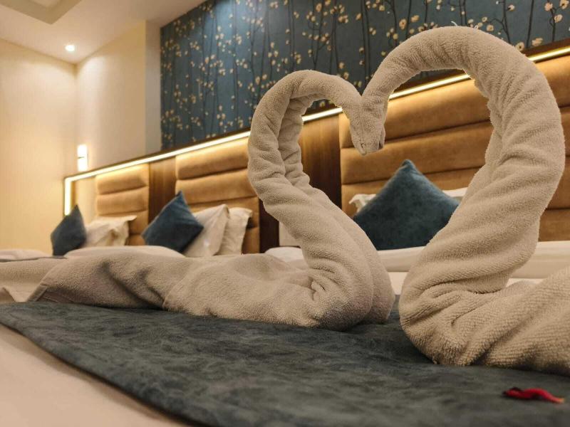 Brinjal Hotels image