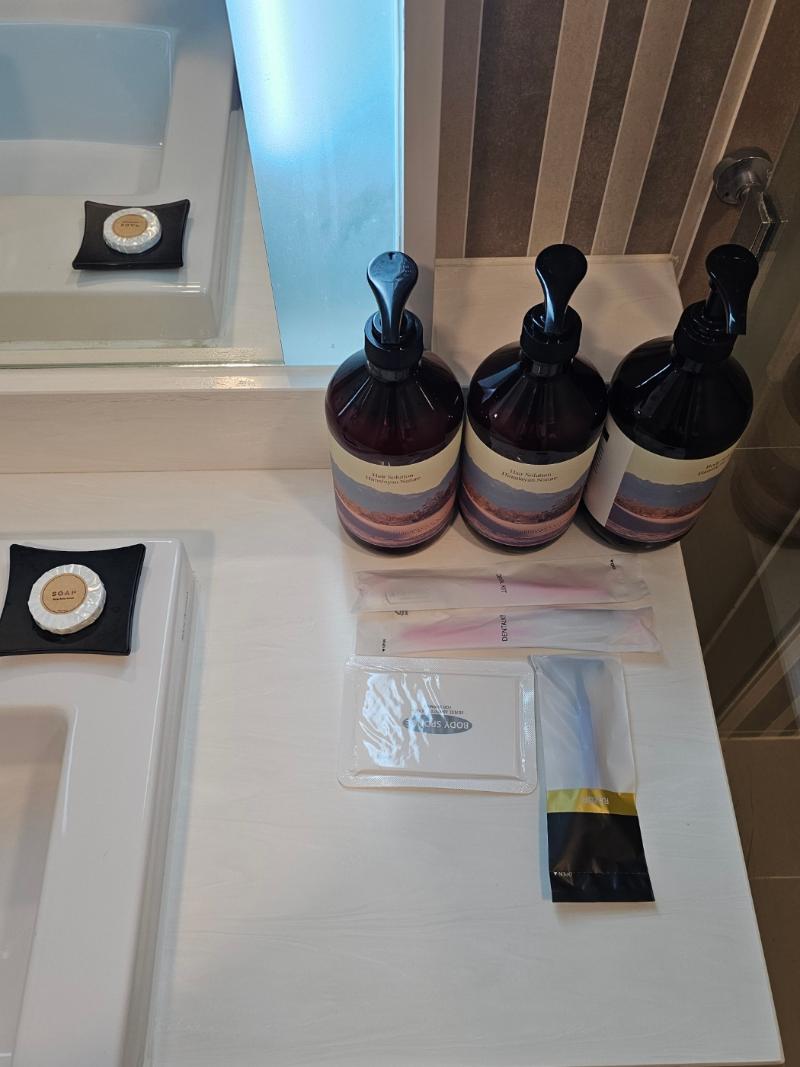 Incheon Airport Global Hotel & Suites image