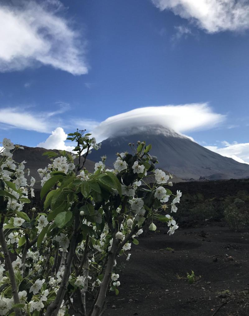 Oasis Coba Tina image