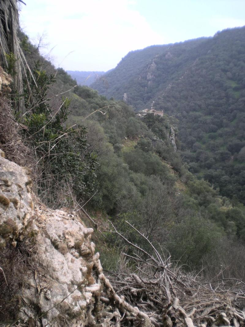 Centro De Naturaleza Caa Ada Verde image