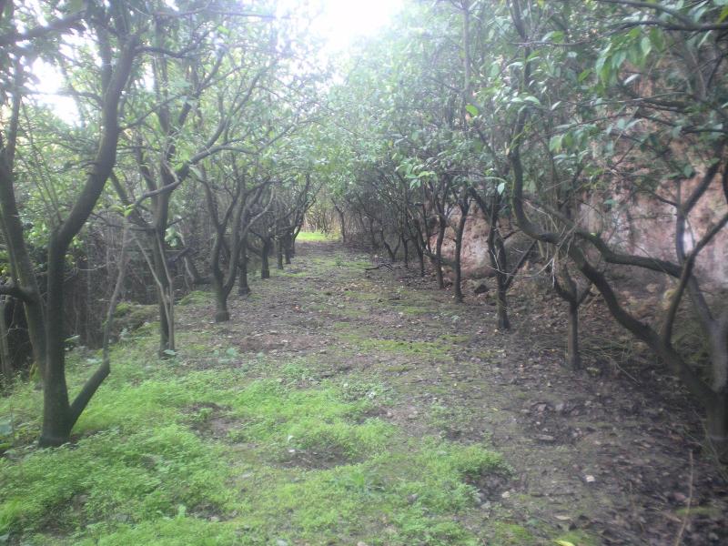 Centro De Naturaleza Caa Ada Verde image