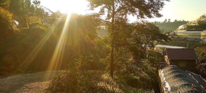 Tuyet Hoa Hon Bo Bungalow