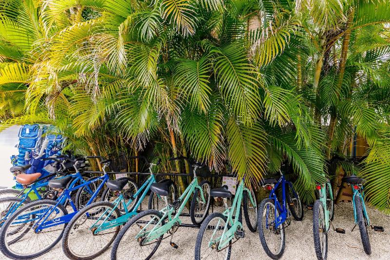 The Inn On Siesta Key image