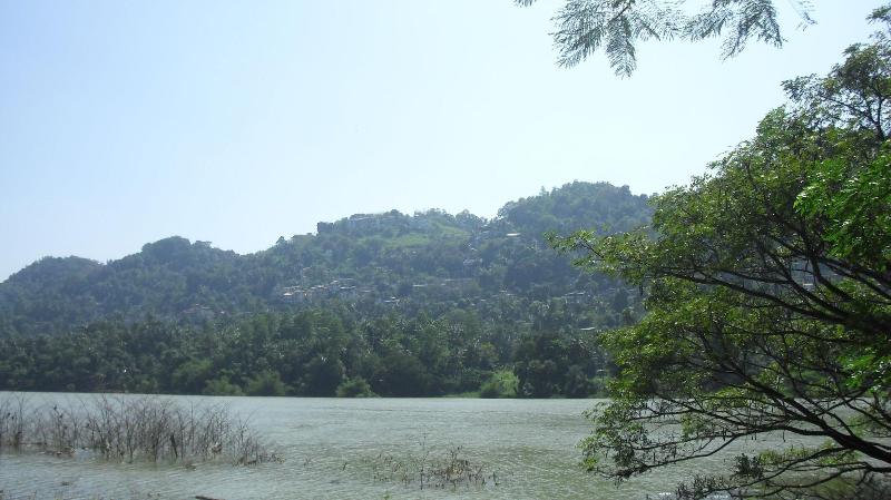 Riverside Homestay Apartments image