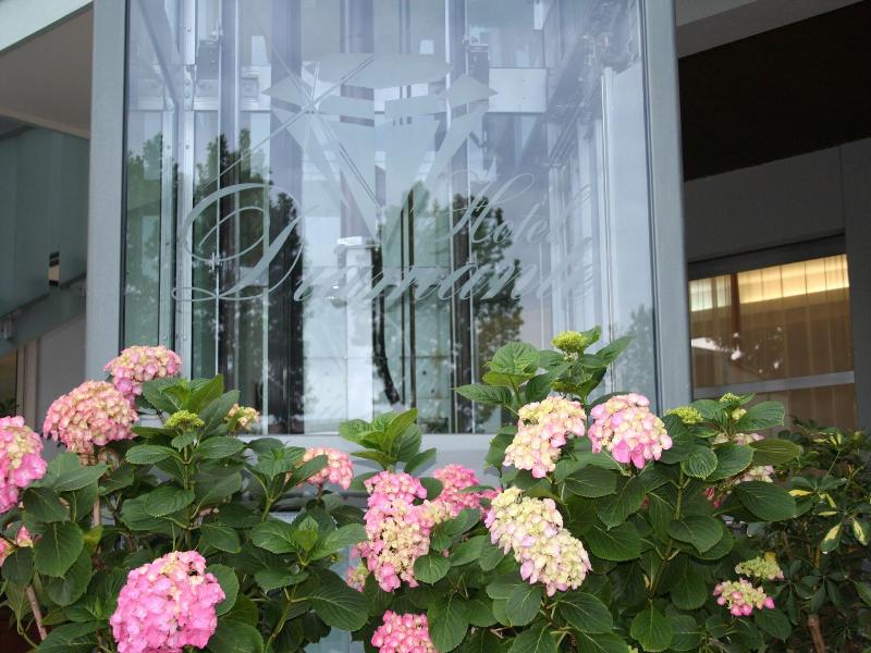 Hotel Diamante image
