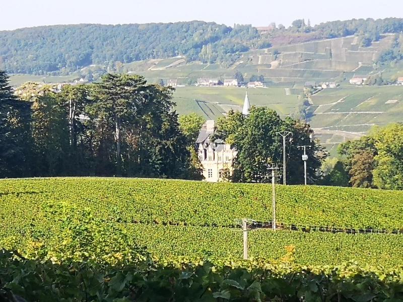 Le Temps D Une Pause A Boursault image