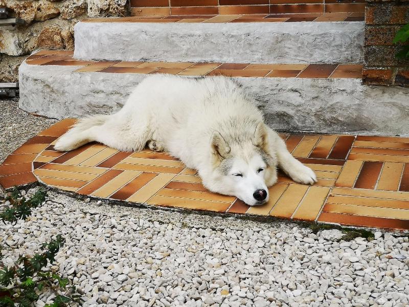 Le Temps D Une Pause A Boursault image