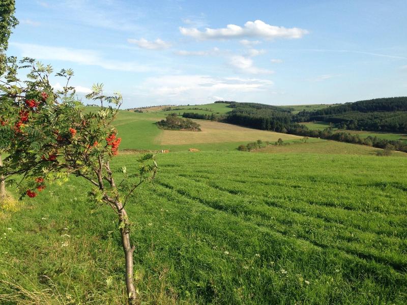 Ferienhaus Bikeha Tte Rehnha Usl image