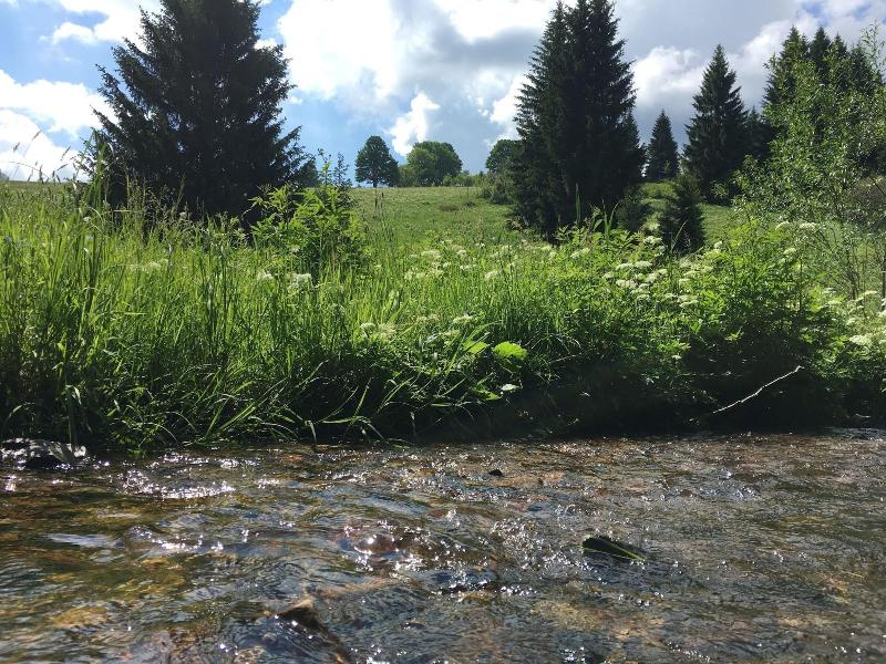 Ferienhaus Bikeha Tte Rehnha Usl image