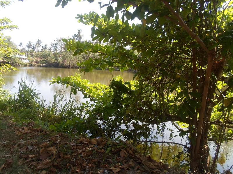 Amada Lake View Homestay image