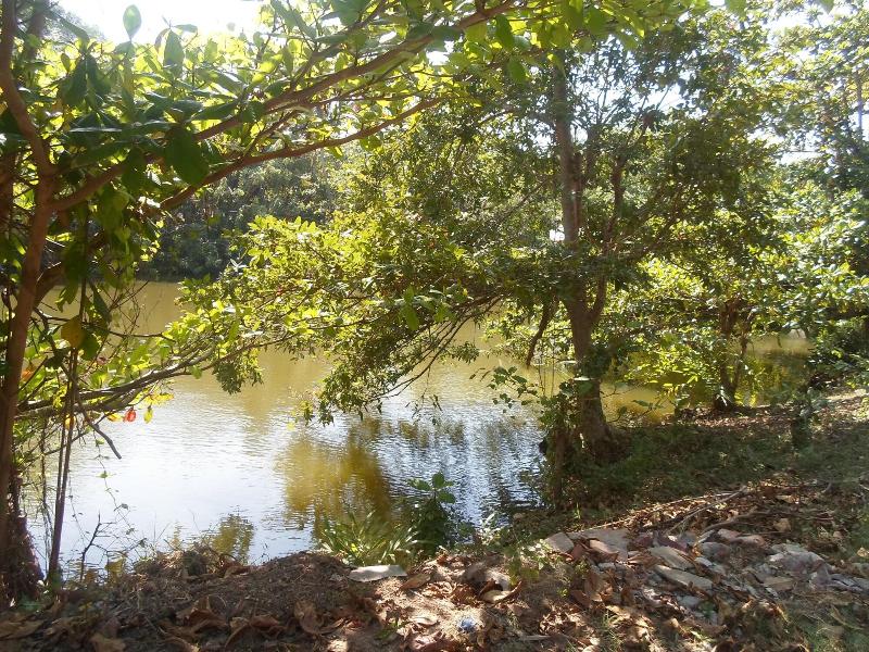 Amada Lake View Homestay image