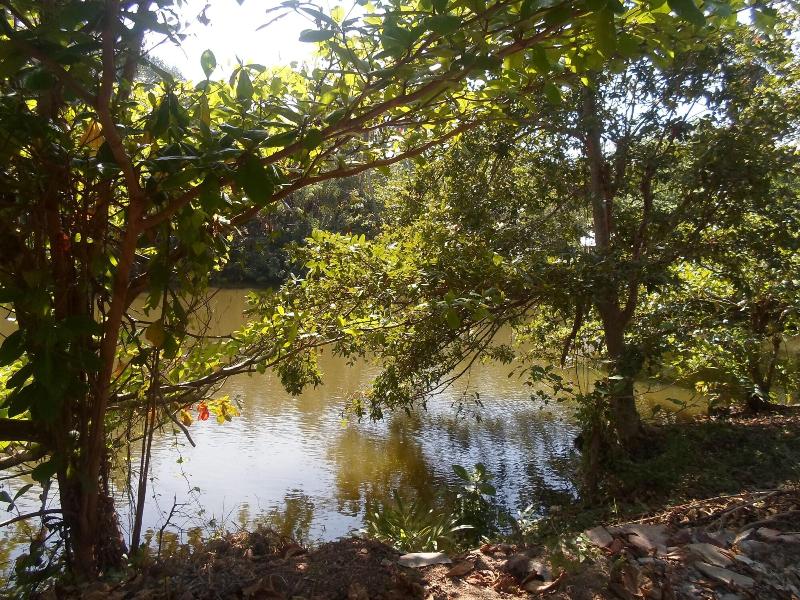 Amada Lake View Homestay image