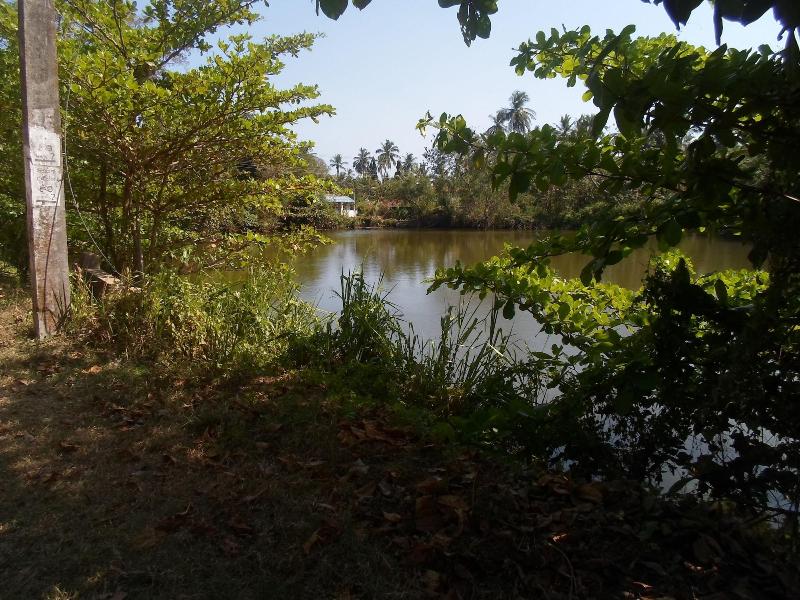 Amada Lake View Homestay image