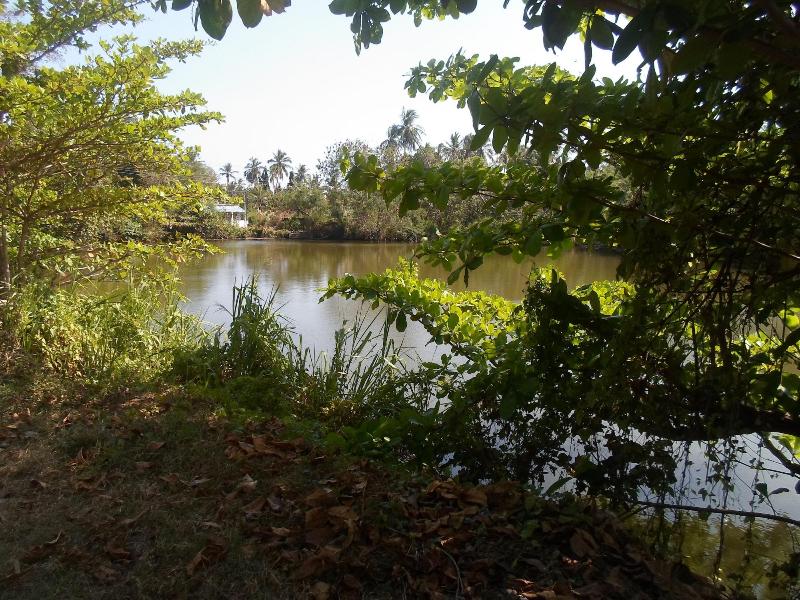 Amada Lake View Homestay image
