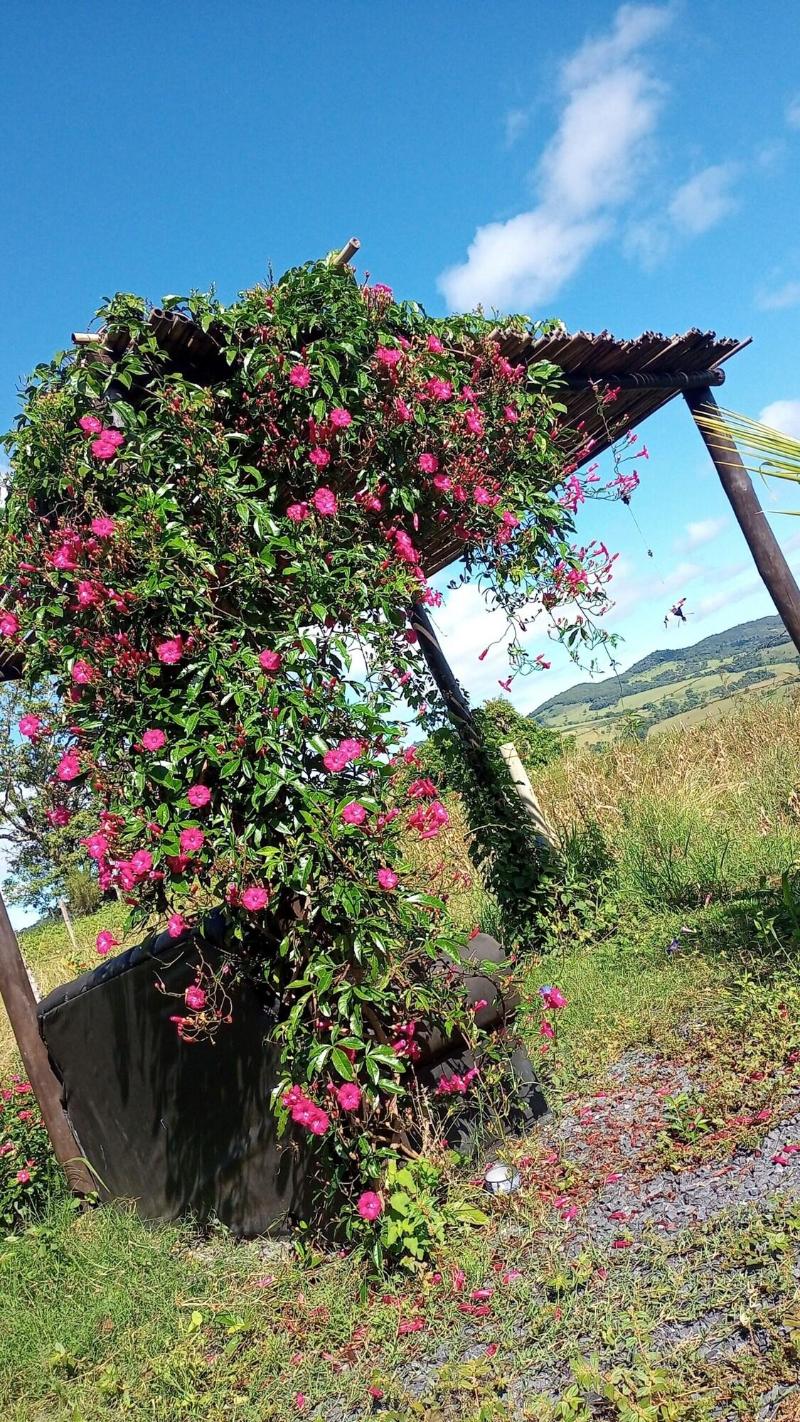 Pousada Flores De Ipa image