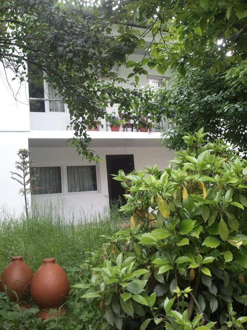 Khvamli 2002 image
