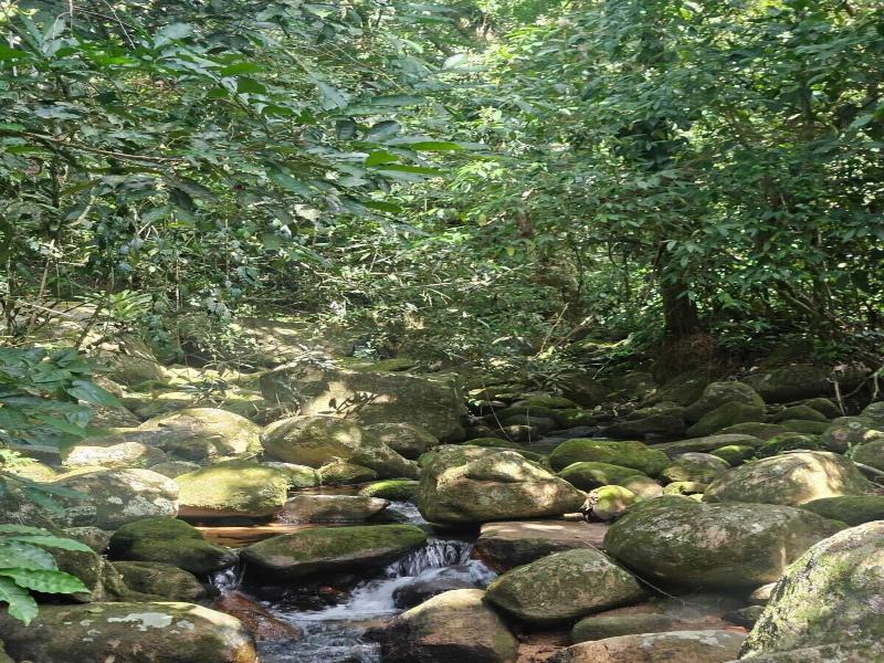 Ready Camp E Sua Tes Da Cachoeira image
