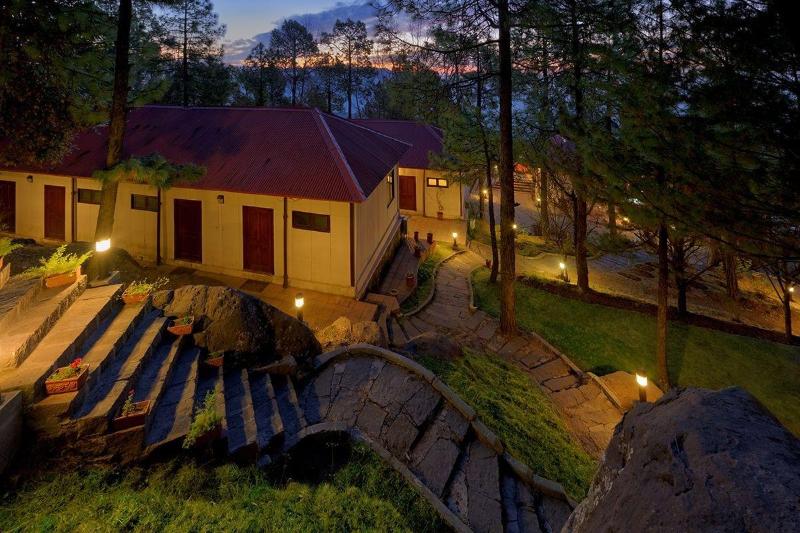 Arcadian Blue Pines image