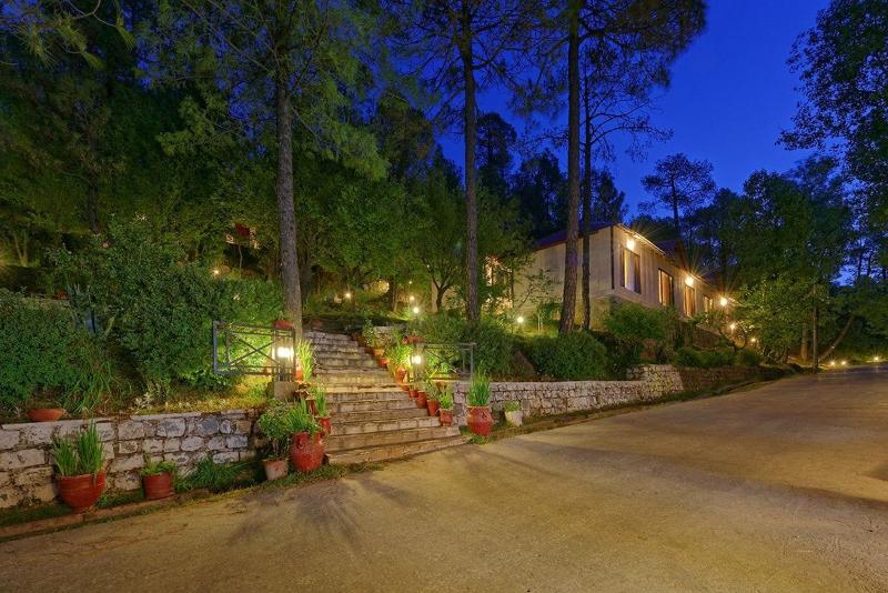 Arcadian Blue Pines image
