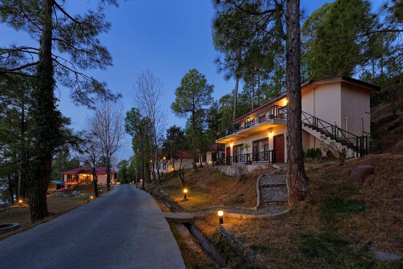 Arcadian Blue Pines image