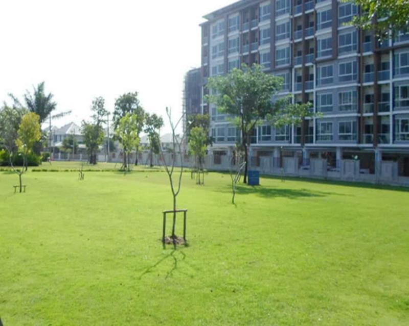 Nn House image