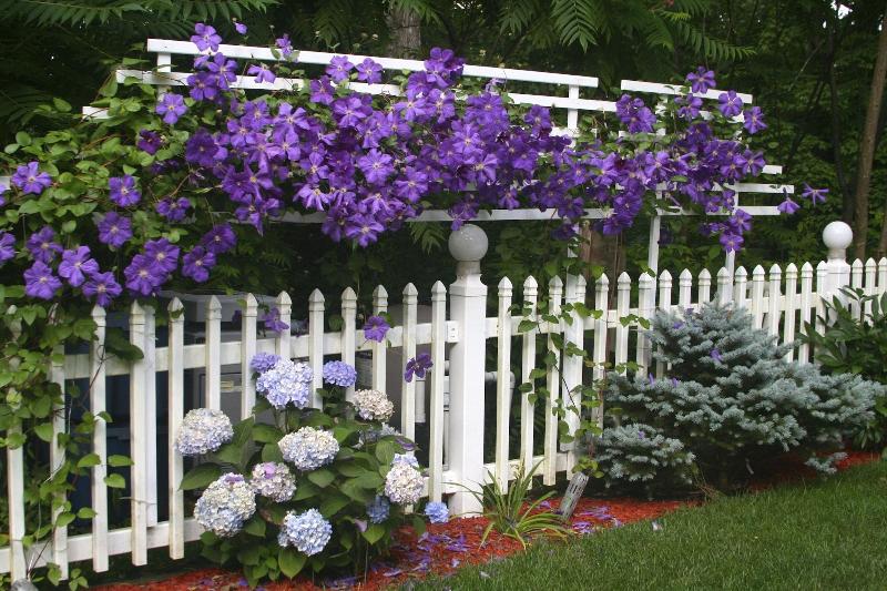 Cherry Valley Manor image