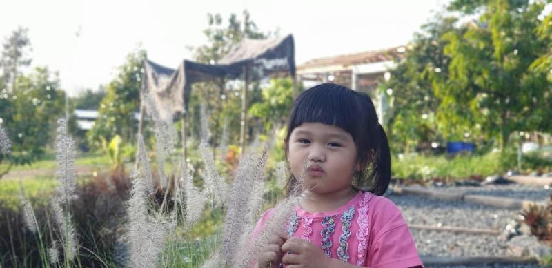 Pan S Farm image
