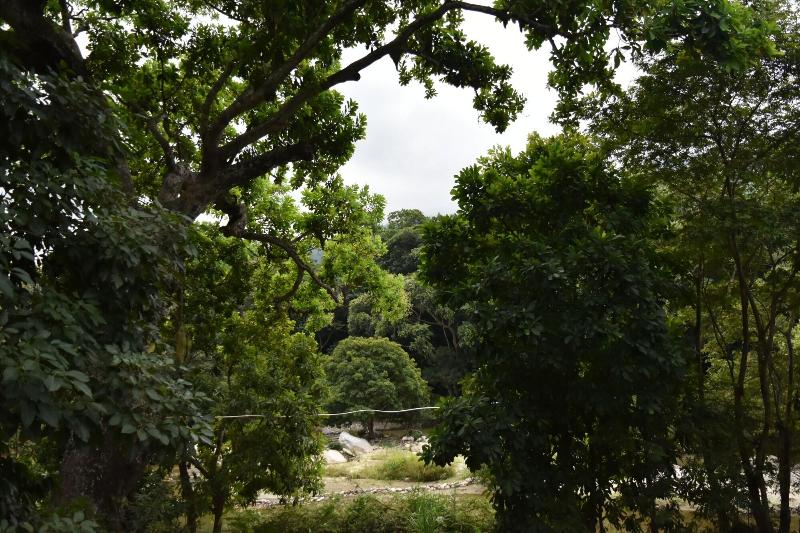 Eco Hostal Kuima image