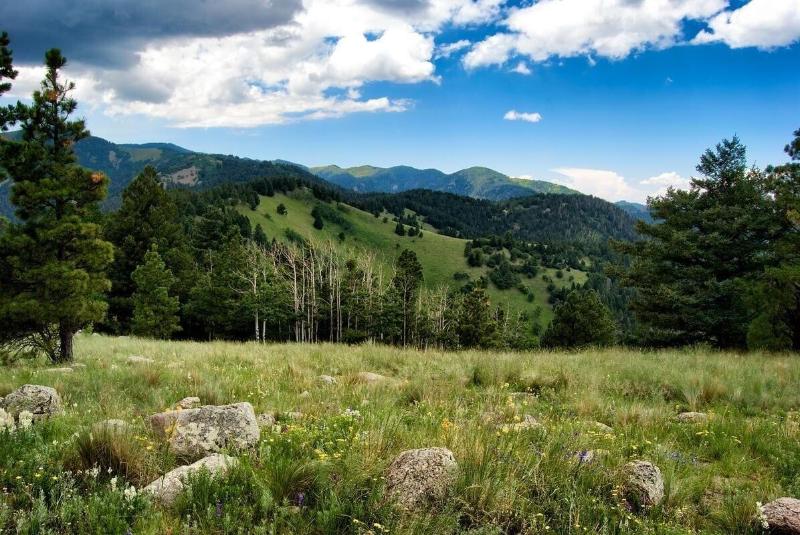 Pinon Park image