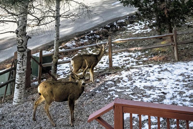 Pinon Park image
